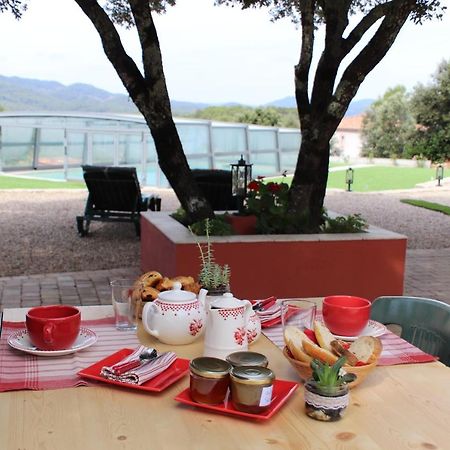 La Bastide De Nini Bed & Breakfast Carces Ngoại thất bức ảnh